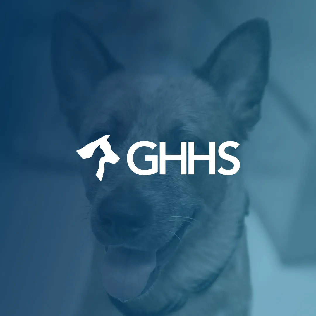 White GHHS logo, a dog and cat silhouette beside the letters GHHS, over a blue-tinted photo of a smiling red heeler